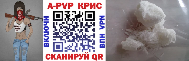 A PVP СК  Коряжма 