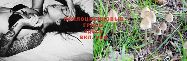mdpv Белокуриха